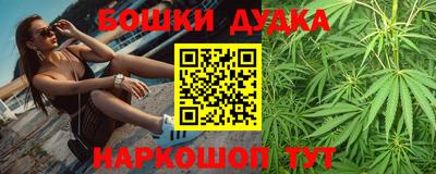 прущие грибы Будённовск